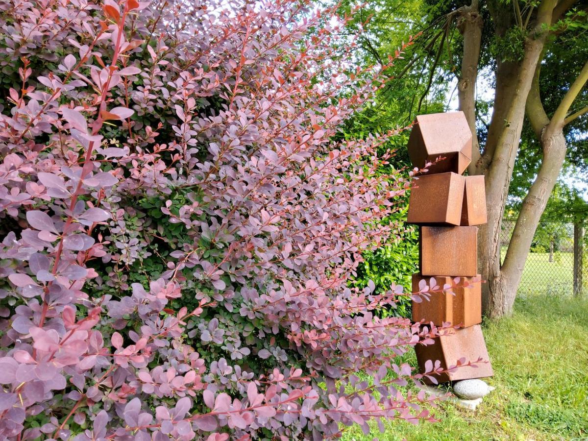 Port-Mort Gite Dans Parc De Sculptures - Gite "Pondichery" מראה חיצוני תמונה