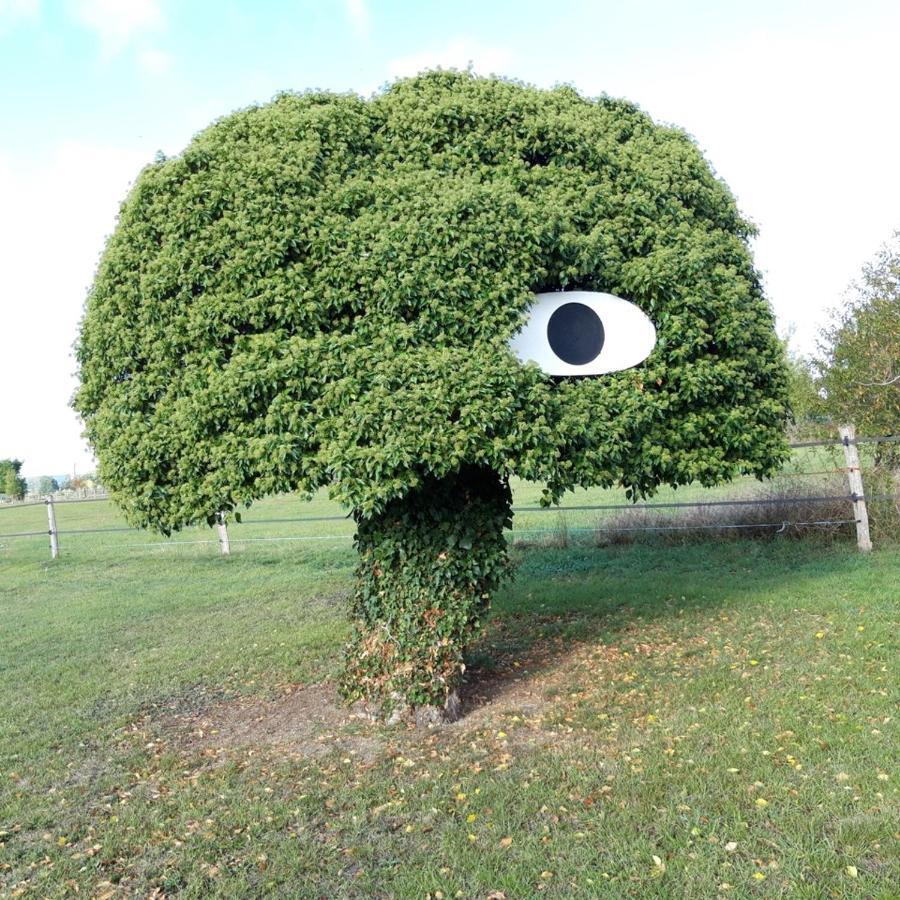Port-Mort Gite Dans Parc De Sculptures - Gite "Pondichery" מראה חיצוני תמונה